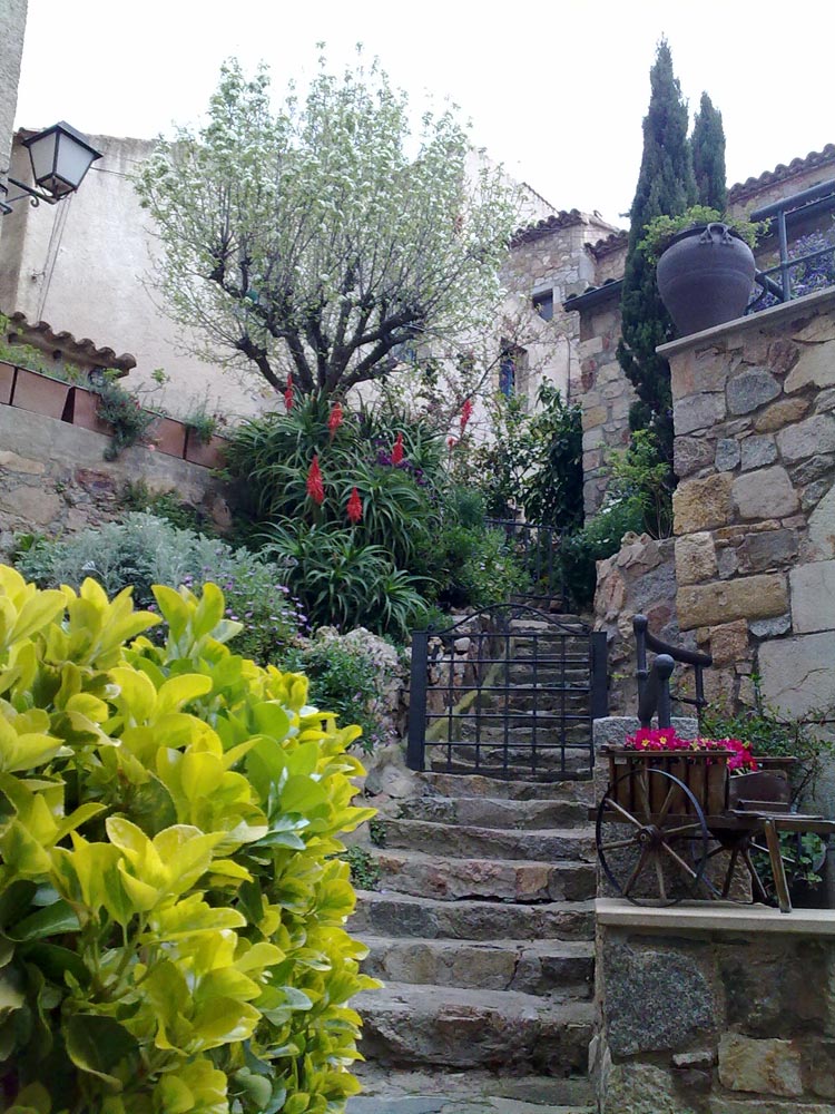 tossa